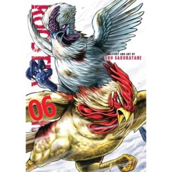 Rooster Fighter V06