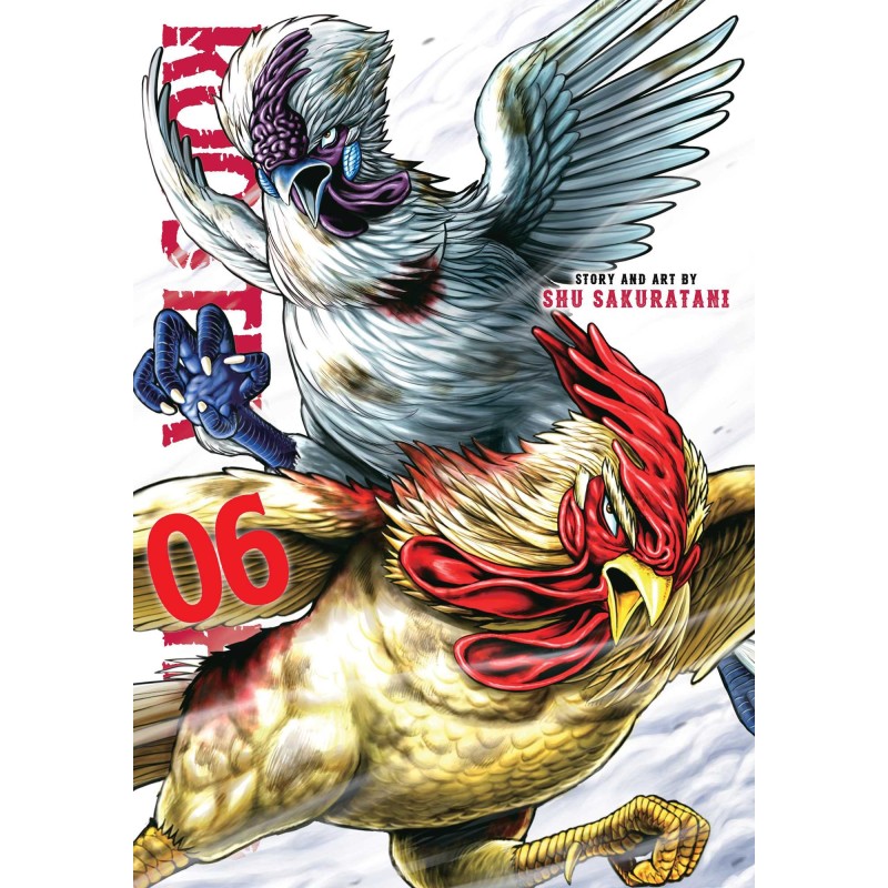 Rooster Fighter V06