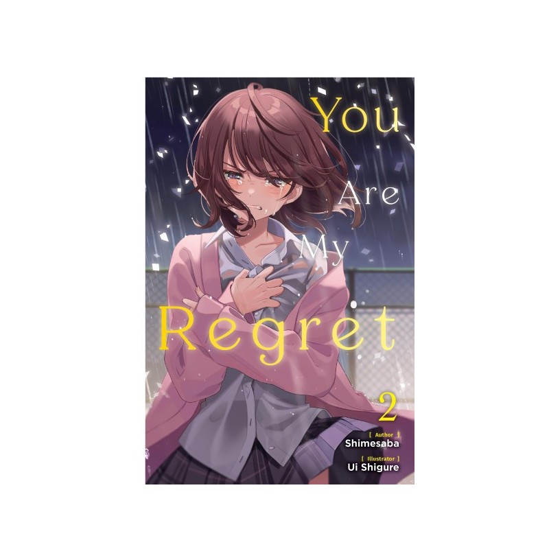 You Are My Regret Novel V02
