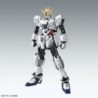 1/100 MG Narrative Gundam C-Packs Ver. Ka