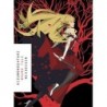 Kizumonogatari Wound Tale Novel
