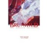 Brunhild the Dragon Princess Novel V02