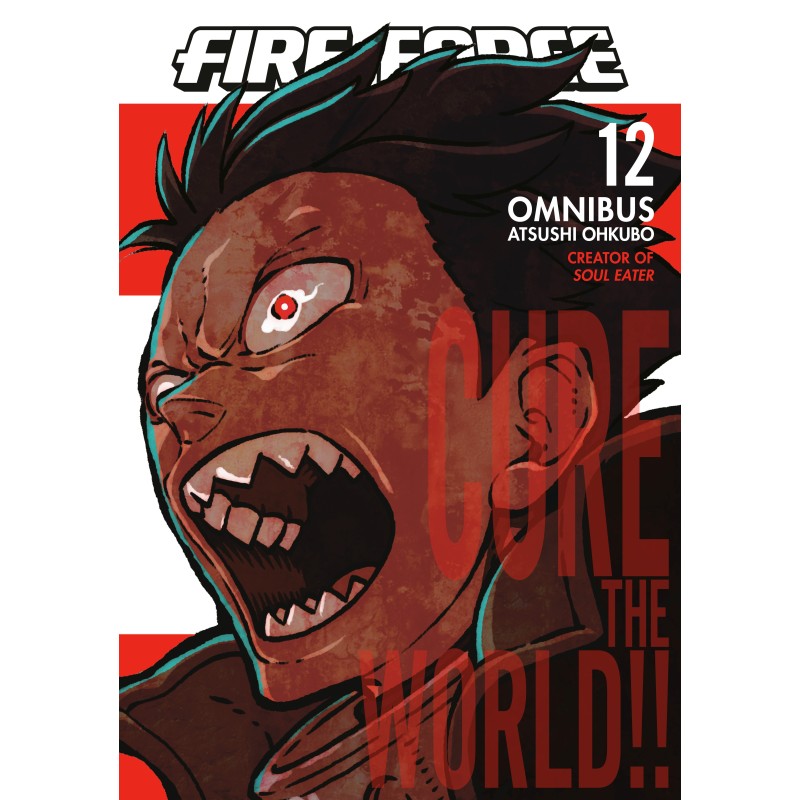 Fire Force Omnibus V12