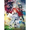 Tale of the Secret Saint Novel V06