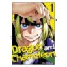 Dragon & Chameleon V01