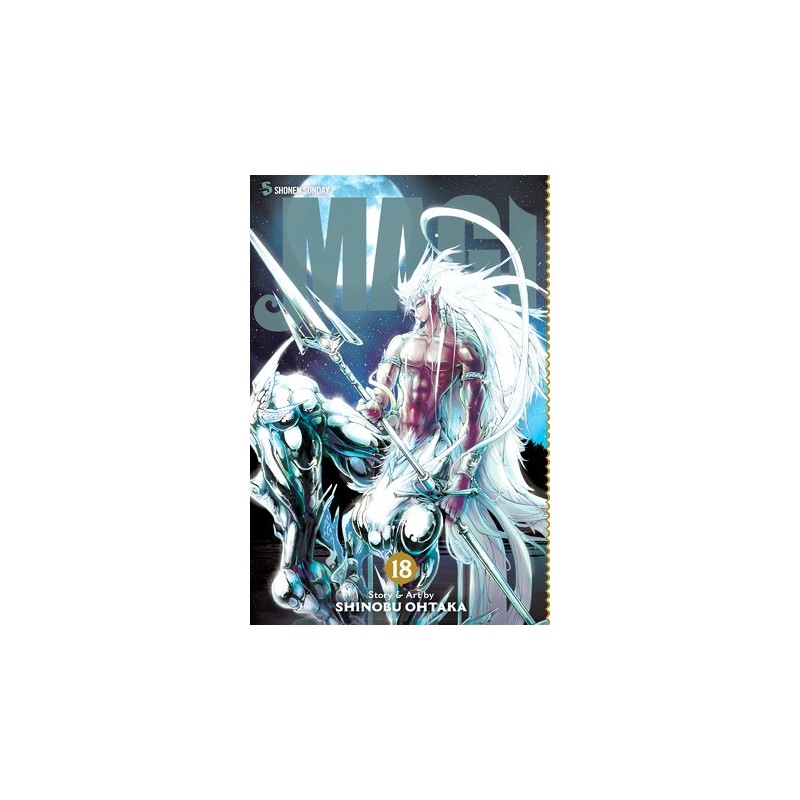 Magi: The Labyrinth of Magic V18