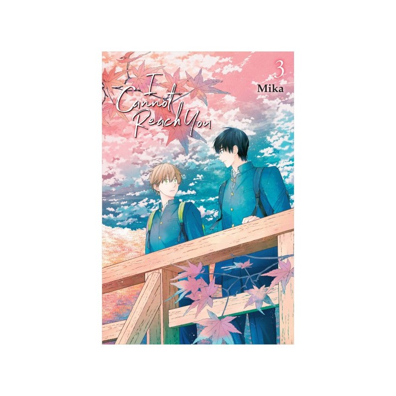 I Cannot Reach You V03