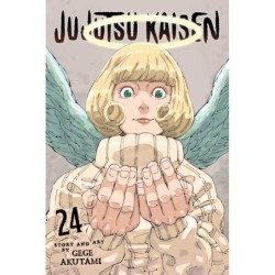 Jujutsu Kaisen V24