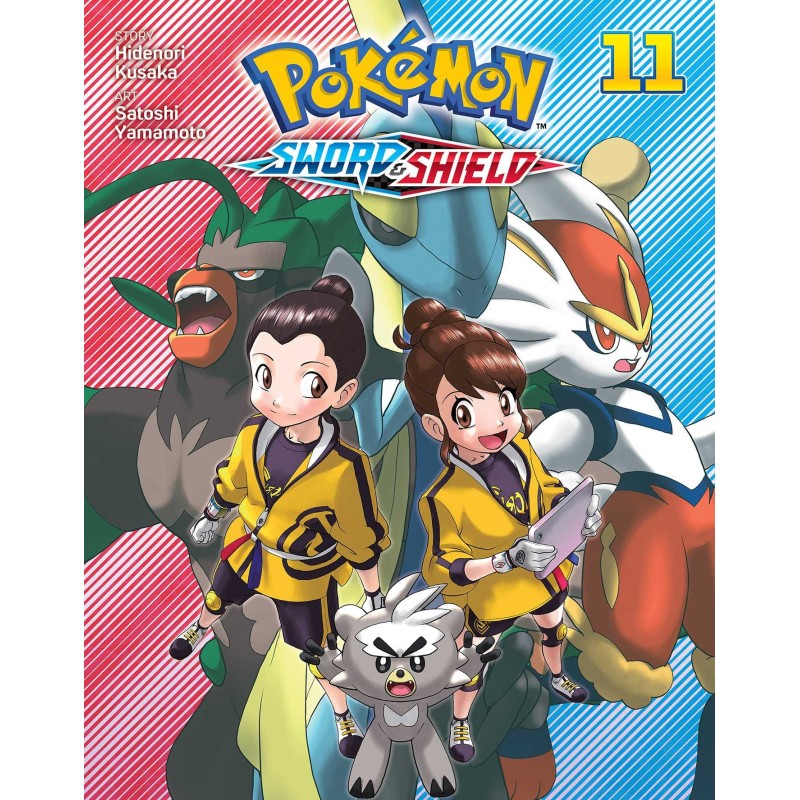 Pokemon Sword & Shield V11
