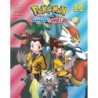Pokemon Sword & Shield V11