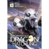 Reincarnated as a Dragon Hatchling Novel V09