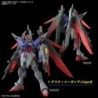 1/144 HC UC K258 Destiny Gundam Spec II & Zeus Silhouette