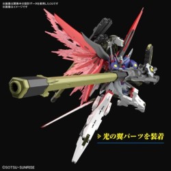 1/144 HC UC K258 Destiny Gundam Spec II & Zeus Silhouette