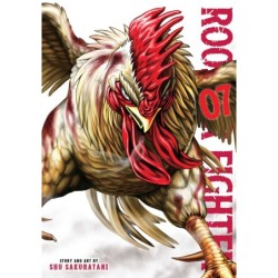 Rooster Fighter V07