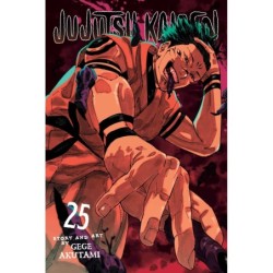 Jujutsu Kaisen V25