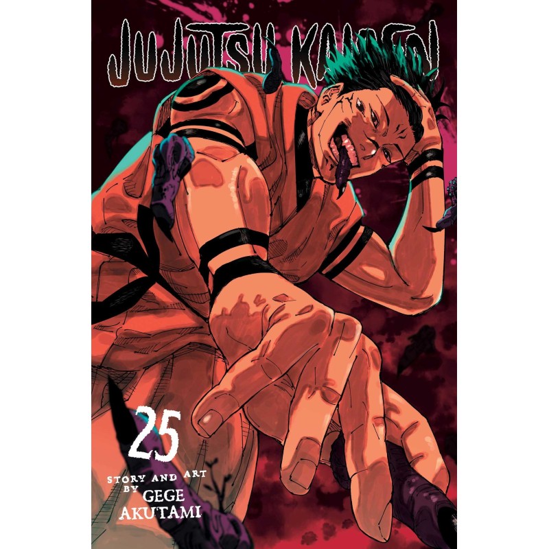 Jujutsu Kaisen V25
