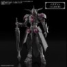 30MF Rosan Paladin Class-Up Armor