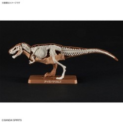 Plannosaurus Tyrannosaurus Model Kit