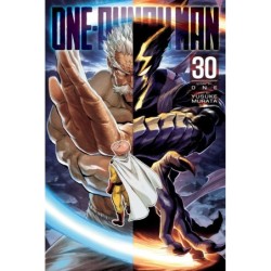 One-Punch Man V30