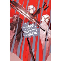 Is It Wrong to Try to Pick Up Girls in a Dungeon? Novel V17