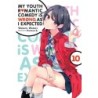 My Youth Romantic Comedy Is Wrong Novel V10
