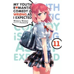 My Youth Romantic Comedy Is Wrong Novel V11
