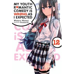 My Youth Romantic Comedy Is Wrong Novel V12