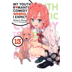 My Youth Romantic Comedy Is Wrong Novel V13
