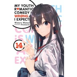 My Youth Romantic Comedy Is Wrong Novel V14