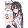 My Youth Romantic Comedy Is Wrong Novel V14