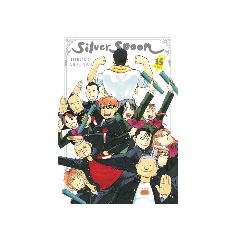Silver Spoon V15