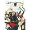 Silver Spoon V15