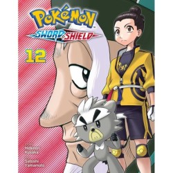 Pokemon Sword & Shield V12