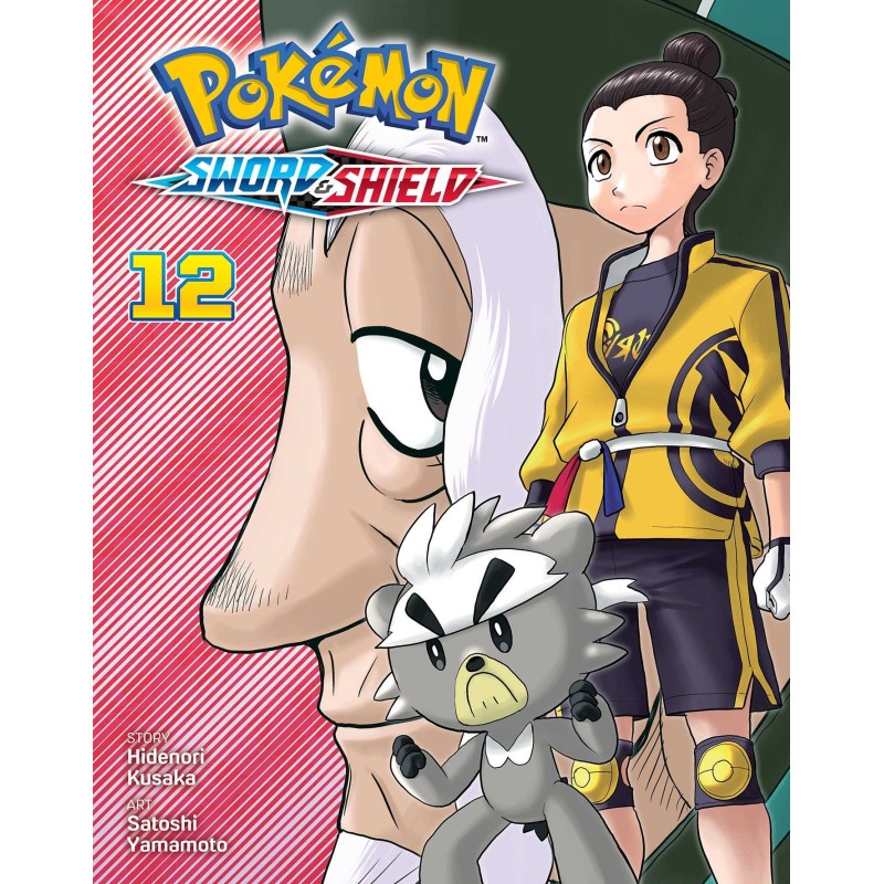 Pokemon Sword & Shield V12