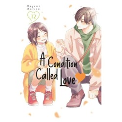 Condition Called Love V12