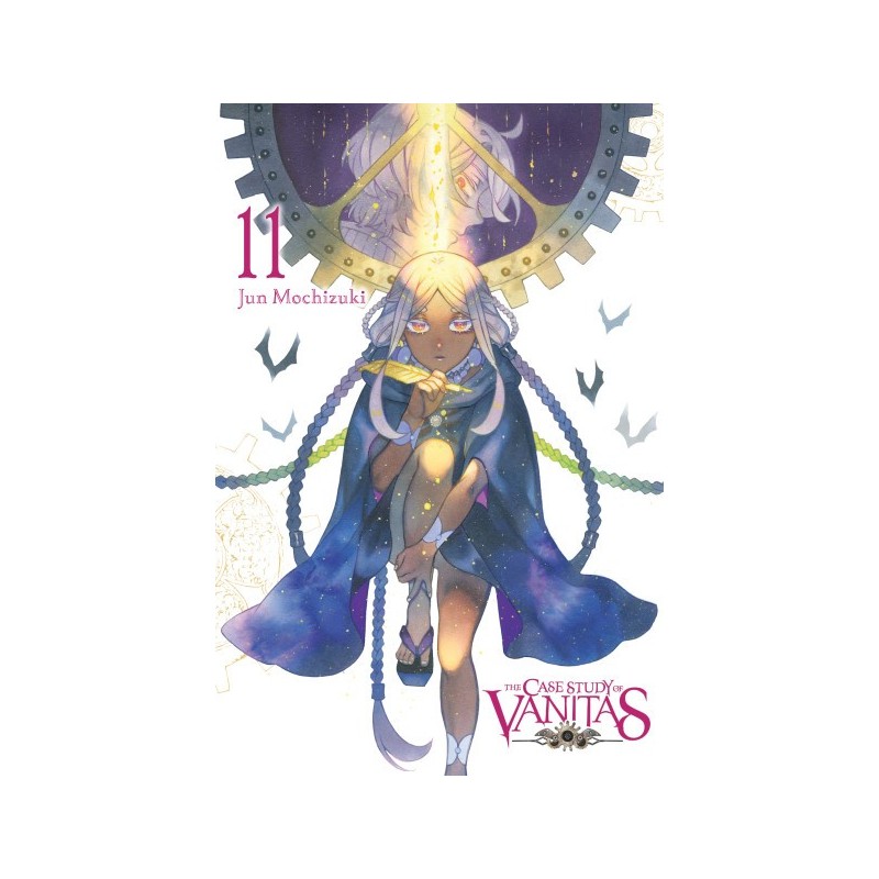 Case Study of Vanitas V11
