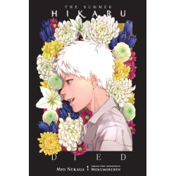 Summer Hikaru Died Novel V01