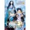 Reincarnated as a Dragon Hatchling Novel V10