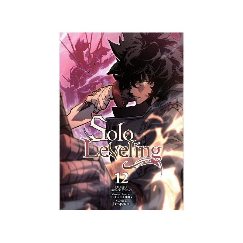 Solo Leveling Manga V12