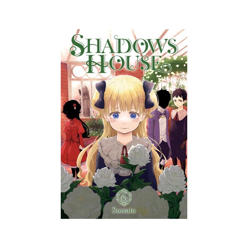 Shadows House V06