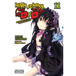High School DxD Novel V11