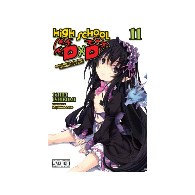 High School DxD Novel V11