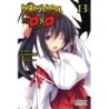 High School DxD Novel V13