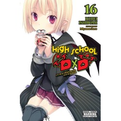 High School DxD Novel V16