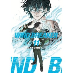 Wind Breaker V11