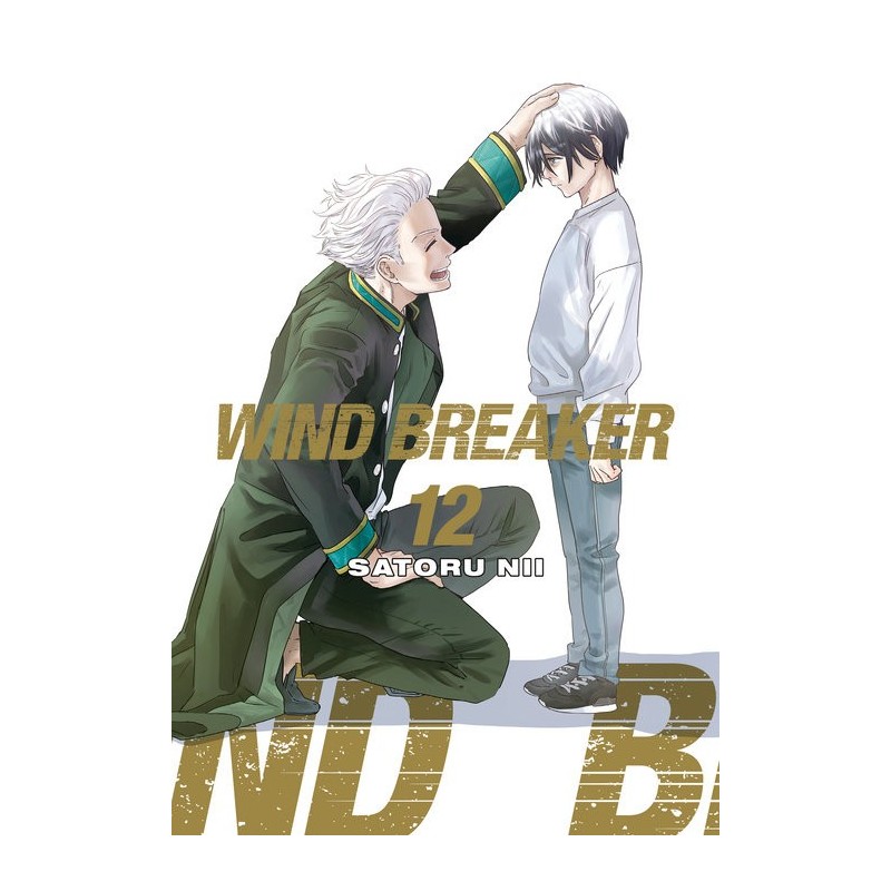Wind Breaker V12