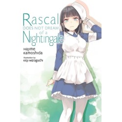 Rascal Does Not Dream Novel V11 of a Nightingale