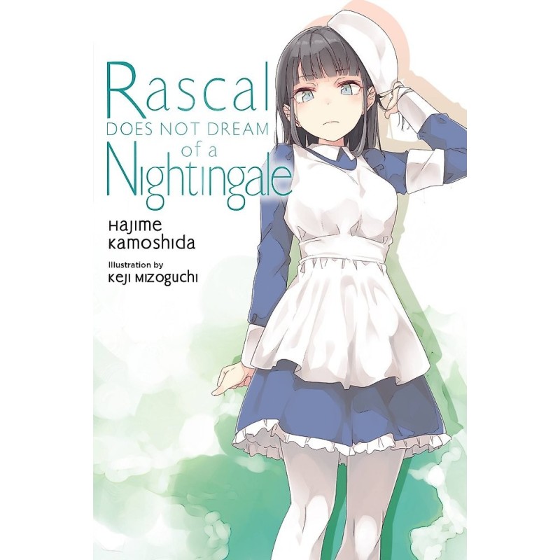 Rascal Does Not Dream Novel V11 of a Nightingale