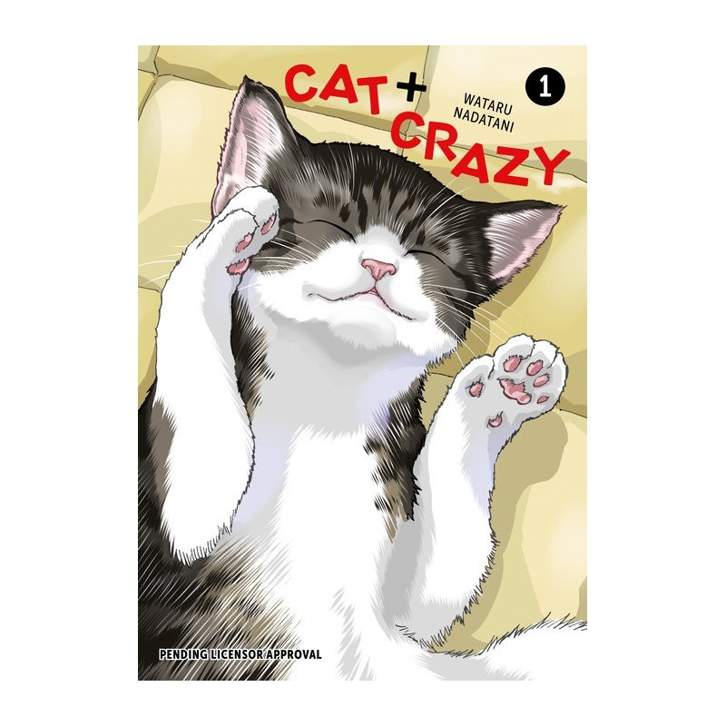 Cat + Crazy V01