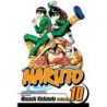 Naruto V10